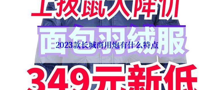 2023款长城商用炮有什么特点