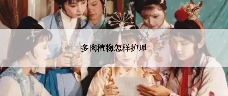 多肉植物怎样护理