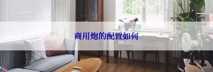 商用炮的配置如何