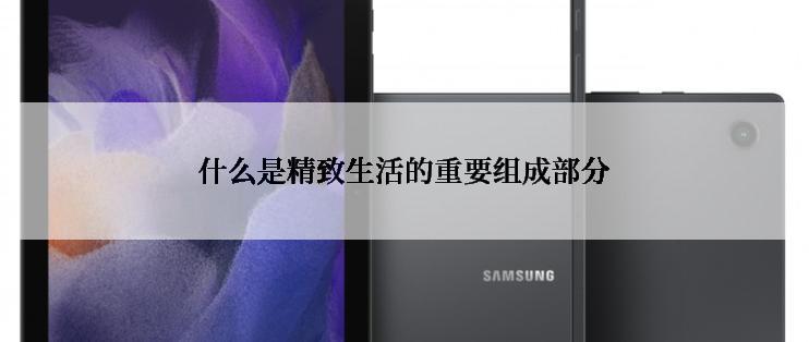 什么是精致生活的重要组成部分