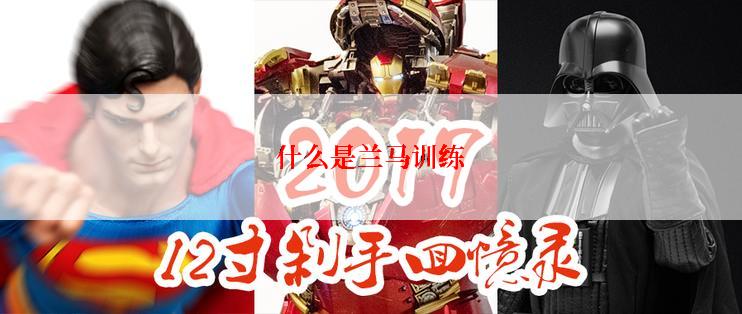 什么是兰马训练