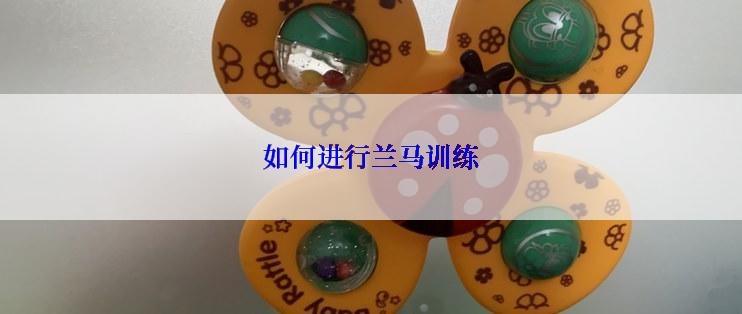 如何进行兰马训练