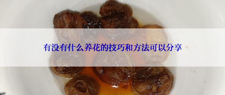 有没有什么养花的技巧和方法可以分享