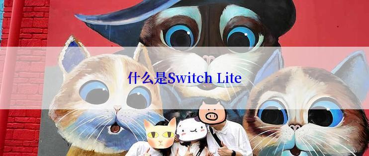 什么是Switch Lite