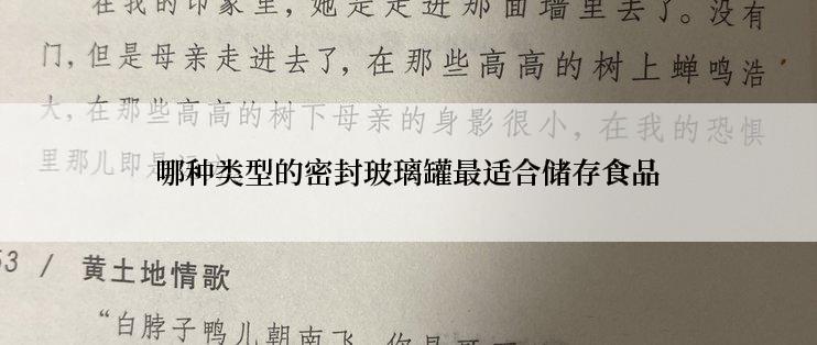 哪种类型的密封玻璃罐最适合储存食品