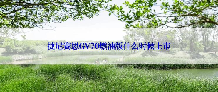 捷尼赛思GV70燃油版什么时候上市