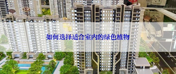 如何选择适合室内的绿色植物