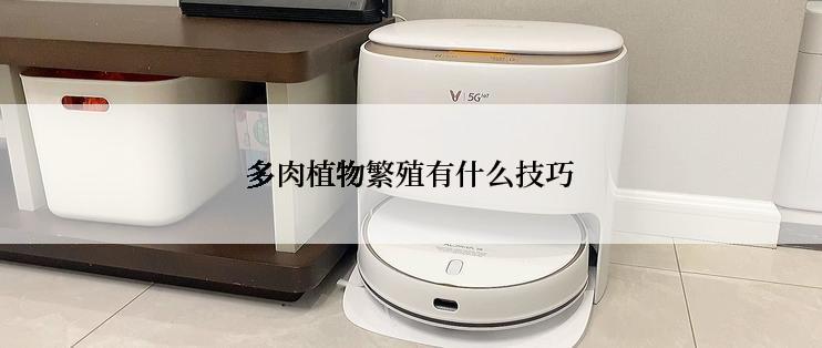多肉植物繁殖有什么技巧