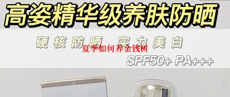 夏季如何养金钱树