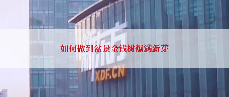 如何做到盆景金钱树爆满新芽