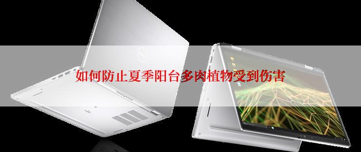 如何防止夏季阳台多肉植物受到伤害