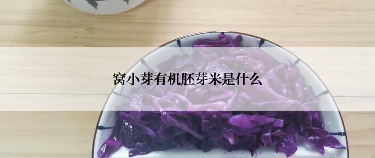 窝小芽有机胚芽米是什么
