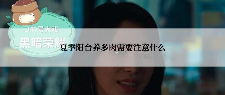 夏季阳台养多肉需要注意什么