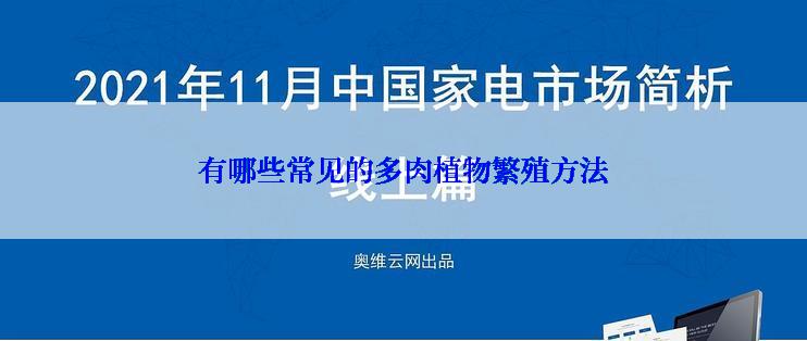 有哪些常见的多肉植物繁殖方法