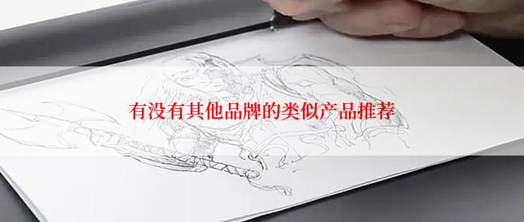 有没有其他品牌的类似产品推荐