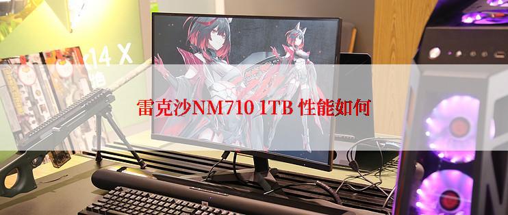 雷克沙NM710 1TB 性能如何