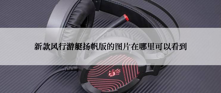 新款风行游艇扬帆版的图片在哪里可以看到