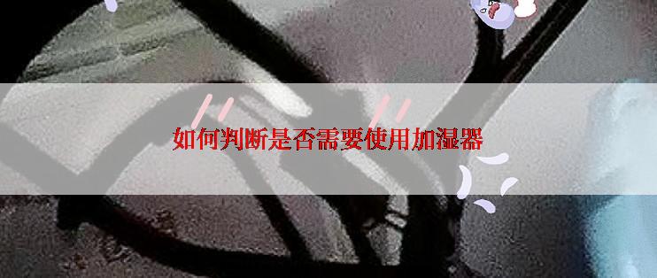 如何判断是否需要使用加湿器