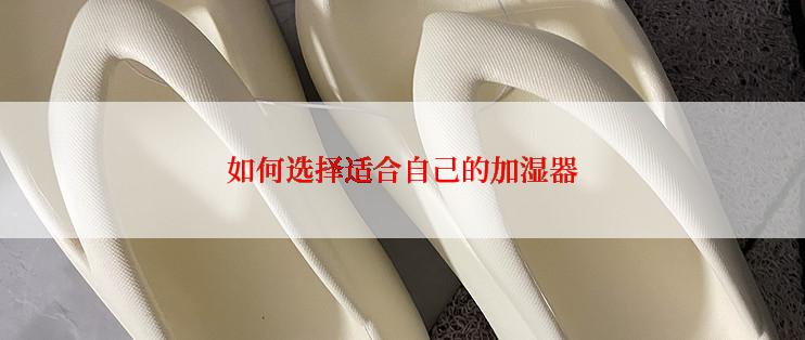 如何选择适合自己的加湿器