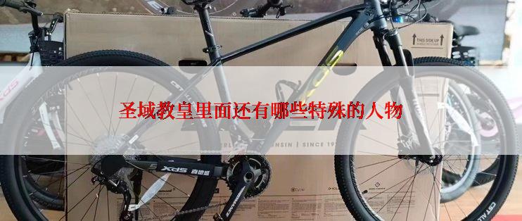 圣域教皇里面还有哪些特殊的人物