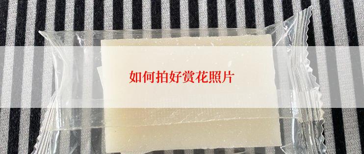 如何拍好赏花照片