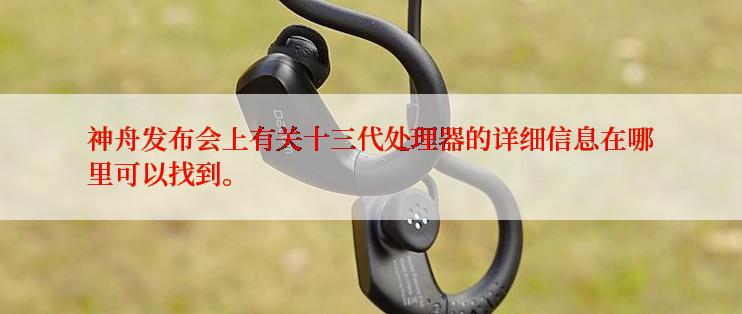 神舟发布会上有关十三代处理器的详细信息在哪里可以找到。