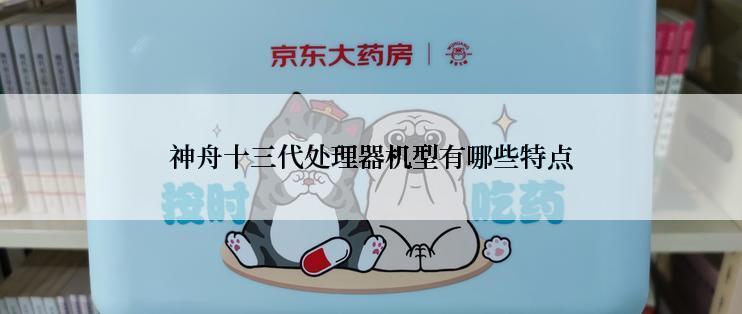 神舟十三代处理器机型有哪些特点