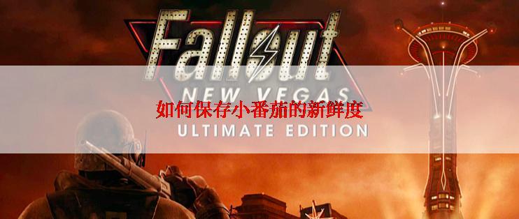 如何保存小番茄的新鲜度