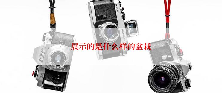 展示的是什么样的盆栽