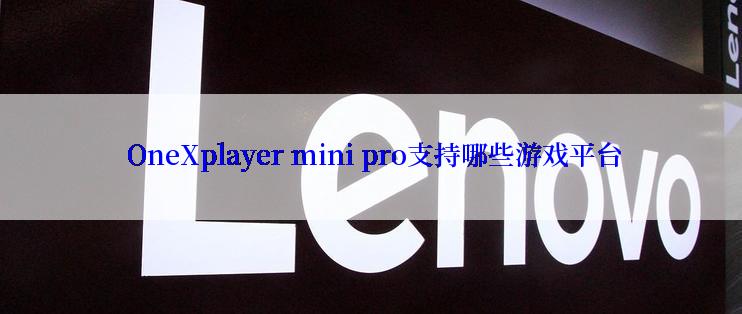 OneXplayer mini pro支持哪些游戏平台