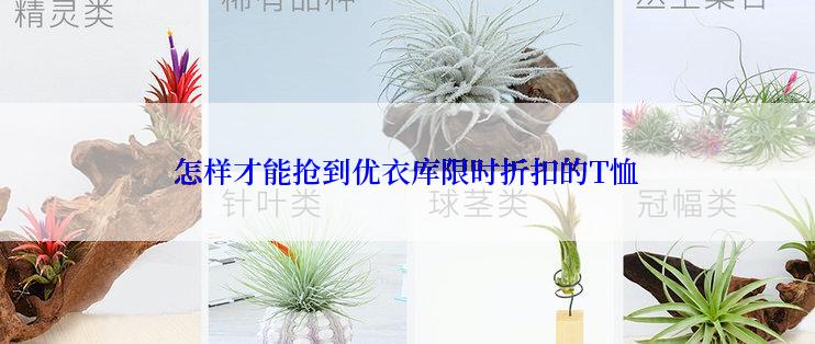 怎样才能抢到优衣库限时折扣的T恤