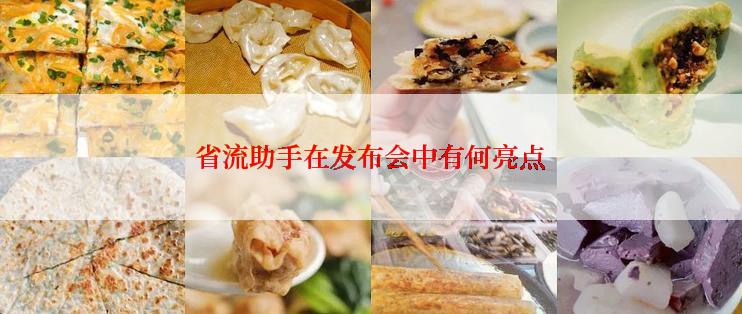 省流助手在发布会中有何亮点