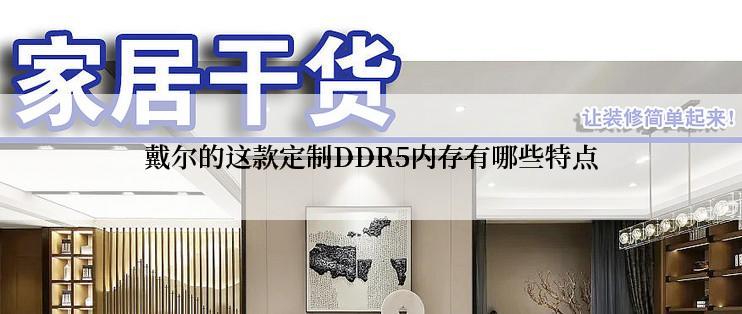 戴尔的这款定制DDR5内存有哪些特点