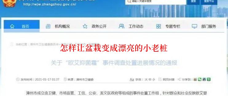 怎样让盆栽变成漂亮的小老桩