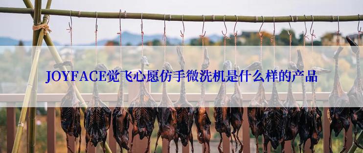 JOYFACE觉飞心愿仿手微洗机是什么样的产品