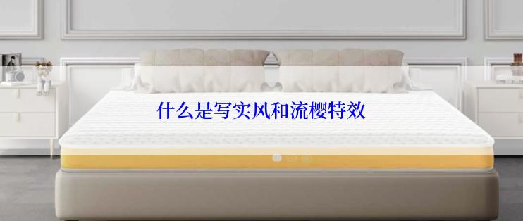 什么是写实风和流樱特效