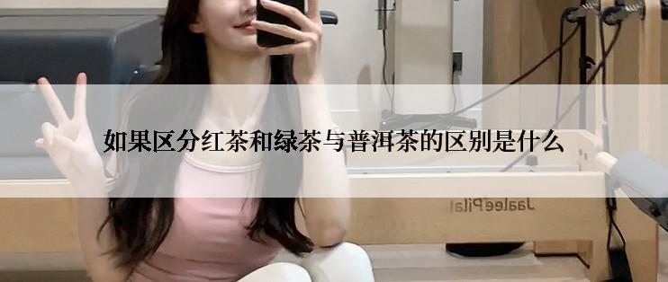 如果区分红茶和绿茶与普洱茶的区别是什么
