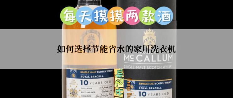 如何选择节能省水的家用洗衣机