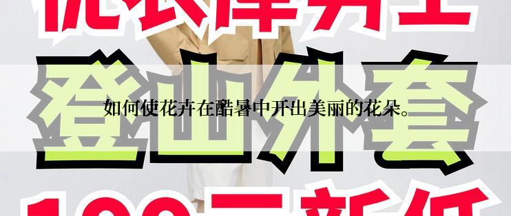 如何使花卉在酷暑中开出美丽的花朵。