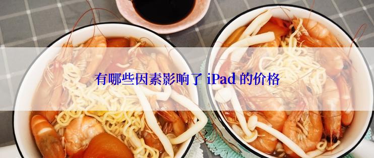 有哪些因素影响了 iPad 的价格