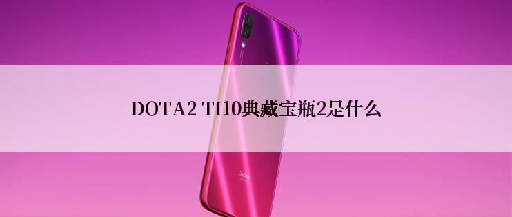DOTA2 TI10典藏宝瓶2是什么