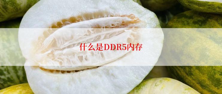 什么是DDR5内存