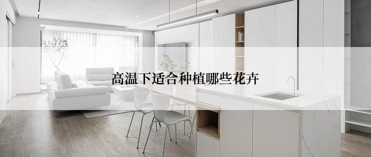 高温下适合种植哪些花卉