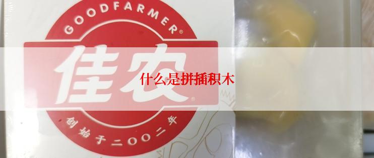 什么是拼插积木