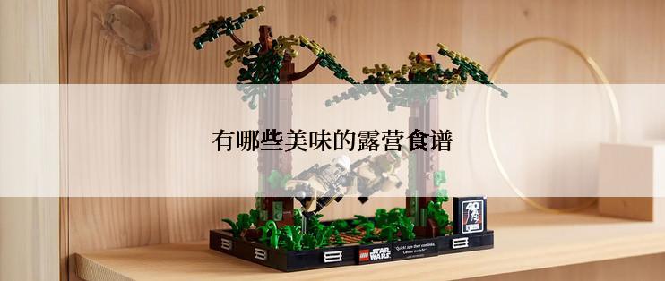 有哪些美味的露营食谱