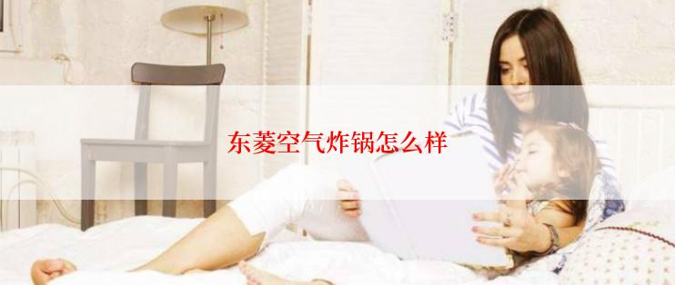 东菱空气炸锅怎么样