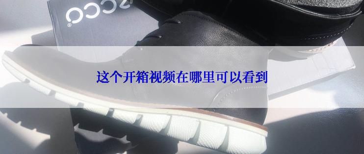 这个开箱视频在哪里可以看到