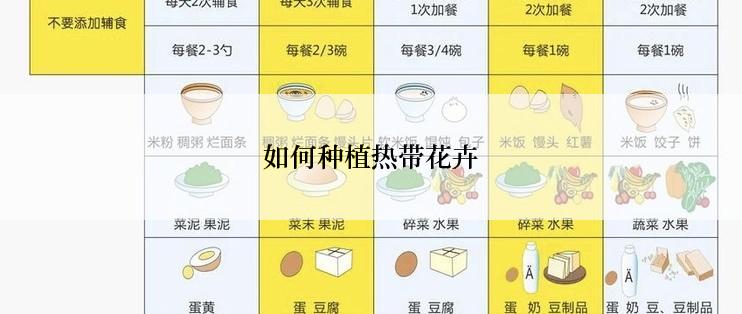 如何种植热带花卉