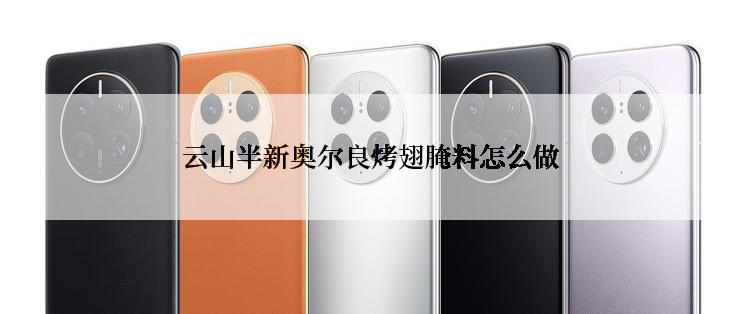 云山半新奥尔良烤翅腌料怎么做