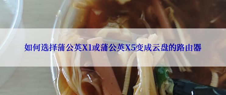 如何选择蒲公英X1或蒲公英X5变成云盘的路由器